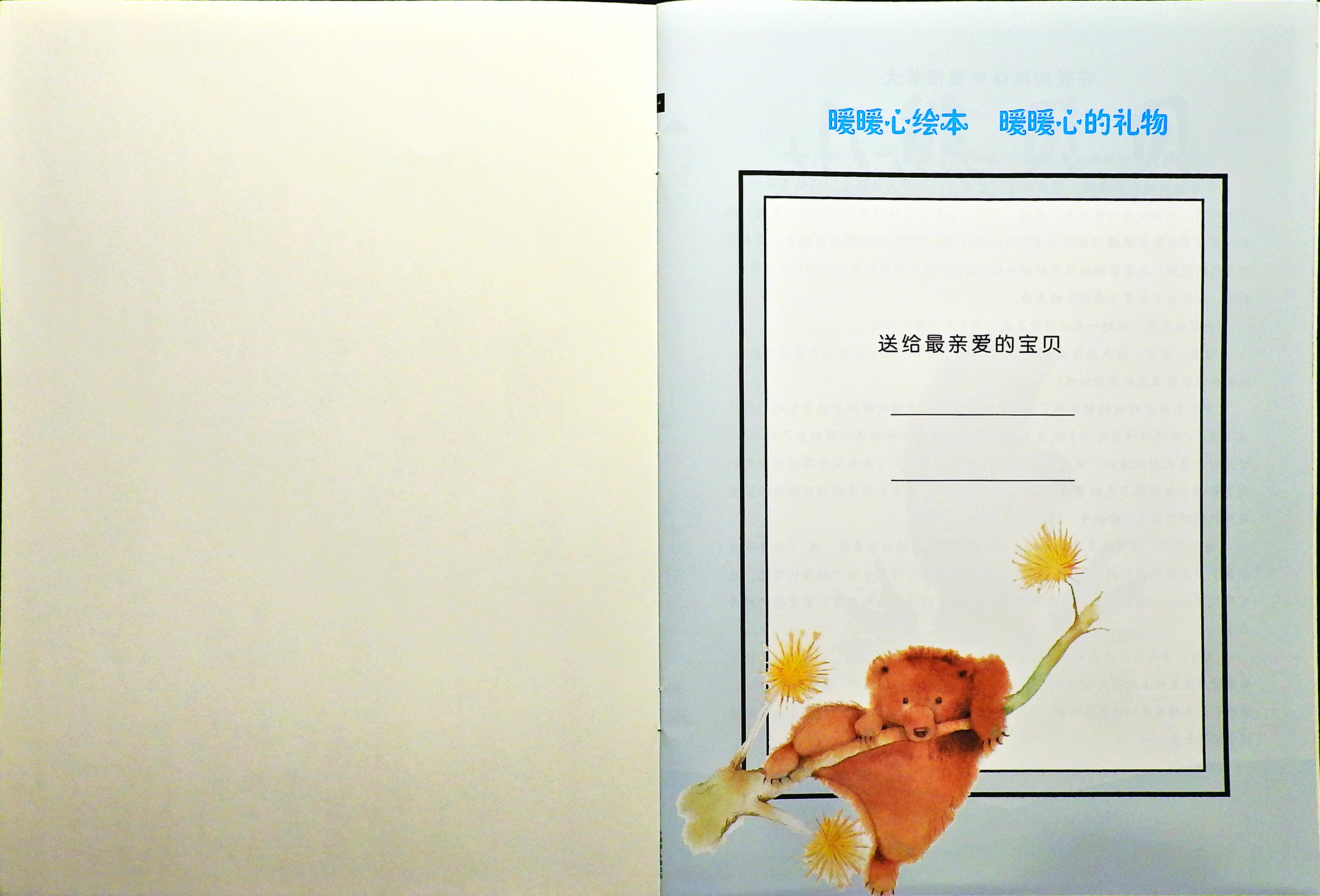 小熊贝贝 (02),绘本,绘本故事,绘本阅读,故事书,童书,图画书,课外阅读